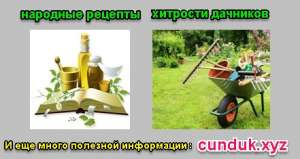 Сундук, информационный ларец-народные рецепты и хитрости мудрых дачников. - оголошення