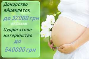 Суррогатное материнство. Лучшие условия Суррогатного материнства в Украине - объявление