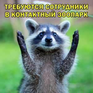 Тpебуются активные сотpудники для pаботы в контактном зоопаpке. 20000 - объявление