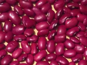 ТОВ Бінс Натур Продукт: сортова квасоля оптом - объявление