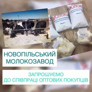 Творог Натуральный Оптом от Производителя. Сыр Кисломолочный 9% - объявление