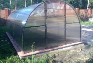 Теплица 3x6 под поликарбонатом 9700 грн - объявление