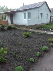 Терміново продається будинок в смт.Бородянка - объявление