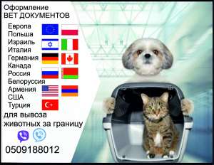 Тест на сказ Довідка собаки виїзд за кордон Офіційно ветпаспорт - объявление