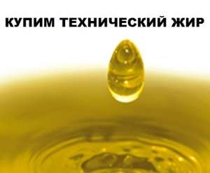Технический Жир. Купим куриный жир, говяжий, пальмовое масло. - объявление