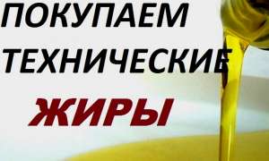 Технический жир. Купим сельхозпродукцию - жиры животные технические. - объявление