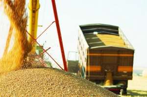 Транспортування зернових вантажів. Послуги зерновозів - объявление