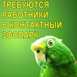Требуютcя активные cотрудники для работы в контактном зоопарке.