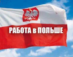 Трудоустройство в Польше - объявление