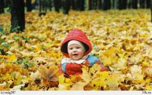 УЧАСТОК - ВЫГОДНО - оголошення