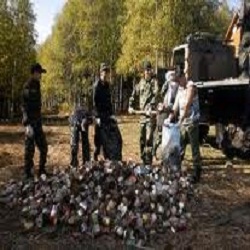 Уборка участка от мусора и его погрузка, земляные работы разного характера - объявление