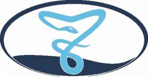 Удаление грыж диска без операции в Санкт-Петербурге! - оголошення