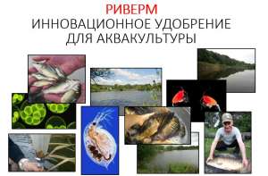 Удобрение для прудов РИВЕРМ (аквакультура) - объявление