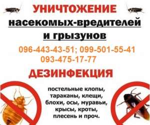 Уничтожение, избавление от тараканов, прусаков, клопов. У нас 5 преимуществ - объявление