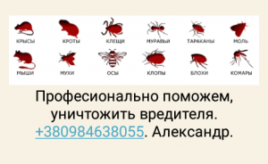 Уничтожение насекомых, грызунов. - объявление