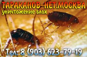 Уничтожить (вытравить) тараканов, мукоедов, блох, постельных клопов за один раз.