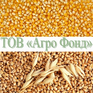 Урожай 2018 Покупаем кукурузу, влажную кукурудзу - объявление