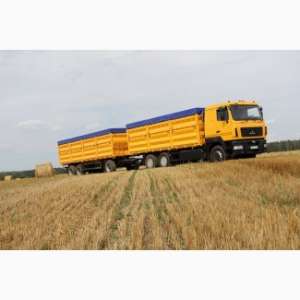 Услуги зерновозов. Перевозка зерна по Украине - объявление