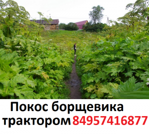 Услуги по вспашке земли мини трактором 495-7416877 вспашка участка вспахать вспахать под газон