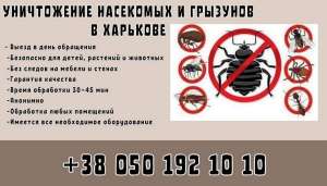 Услуги по уничтожению грызунов и насекомых в Харькове. - оголошення