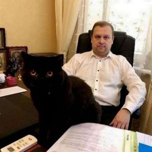 Услуги семейного адвоката в Киеве. - объявление