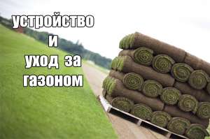 Устройство газона, рулонный газон, реставрация газона Киев и область - объявление