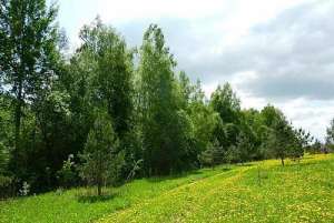 Участка промышленного назначения. На участке все коммуникации. - объявление