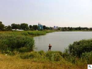 Участки в с.Рогозов.10 соток за 2950$ !