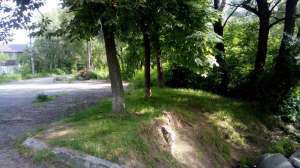 Участок 26 соток в парковой зоне.