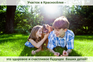 Участок в Красносёлке от собственника - объявление