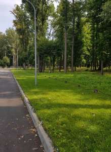 Участок среди всех коттеджных городков, в Лесопарке, Харьков. - объявление