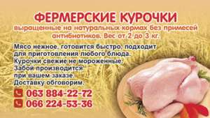 Фермерский бройлер! Высший сорт и качество! - объявление