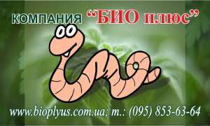 Черви калифорнийские (маточное поголовье) - объявление