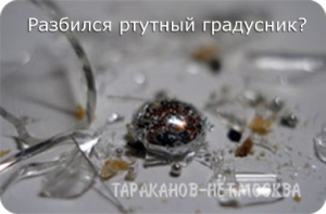 Что делать если разбился ртутный градусник или энергосберегающая лампа? - оголошення