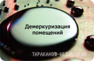 Что делать если разбился ртутный градусник или энергосберегающая лампа?