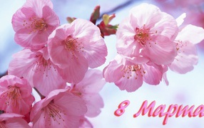 буковель на 8 марта из киева, тур карпаты 8 марта недорого, буковель на будние дни недорого - объявление