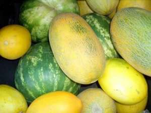 продаем арбузы цена производителя - оголошення