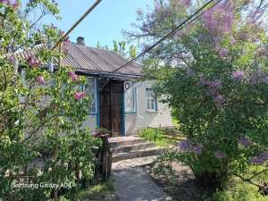 продаж 3-к дача Бориспільський, Старе, 19000 $ - объявление
