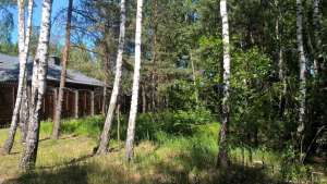 продаж ділянка під житлову забудову Вишгородський, Вишгород, 2000 $ - объявление