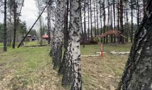 продаж ділянка під житлову забудову Вишгородський, Лебедівка, 130000 $ - объявление