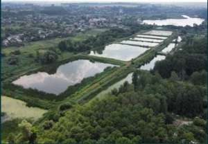 продаж ділянка під житлову забудову Фастівський, Борова, 20511 $ - объявление