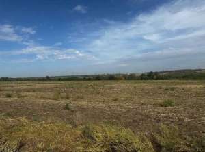 продаж ділянка рекреаційного призначення Дніпро, Новоолександрівка, 5857571 грн. - объявление