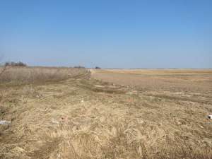 продаж ділянка сільськогосподарського призначення Бориспільський, Вороньків, 138890 грн. - объявление
