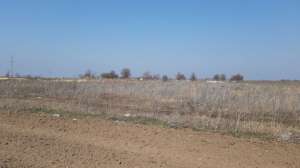 продаж ділянка сільськогосподарського призначення Бориспільський, Вороньків, 140000 грн.