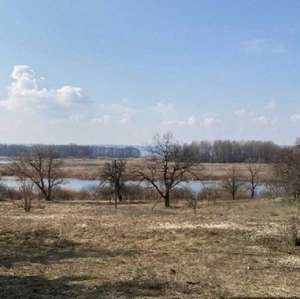 продаж ділянка сільськогосподарського призначення Бориспільський, Головурів, 198900 грн. - объявление