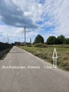 продаж ділянка сільськогосподарського призначення Обухівський, Васильків, 420000 $ - объявление