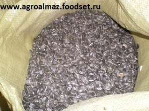 семечка подсолнуха продам