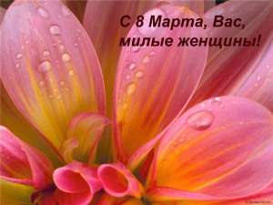 туры закарпатье на 8 марта, тур в закарпатье 8 марта недорого, закарпатье отдых на 8 марта - оголошення
