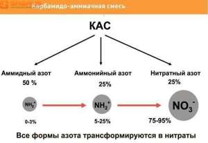 удобрение КАС 32, карбамидо-аммиачная смесь, КАС 32