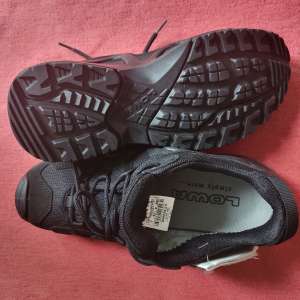 Ѳ Ͳ LOWA ZEPHYR GTX